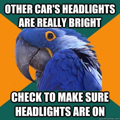 Other car's headlights are really bright Check to make sure headlights are on  Paranoid Parrot