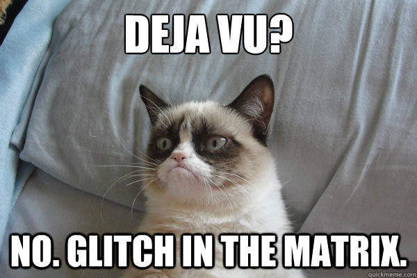 Deja Vu? No. Glitch in the Matrix. - Deja Vu? No. Glitch in the Matrix.  Grumpy Cat 2