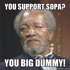 You support Sopa? You Big Dummy!  