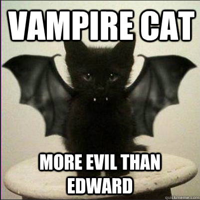 vampire cat more evil than edward - vampire cat more evil than edward  Vampire kitty