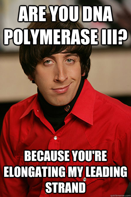 Are you DNA polymerase III? Because you're elongating my leading strand  Pickup Line Scientist