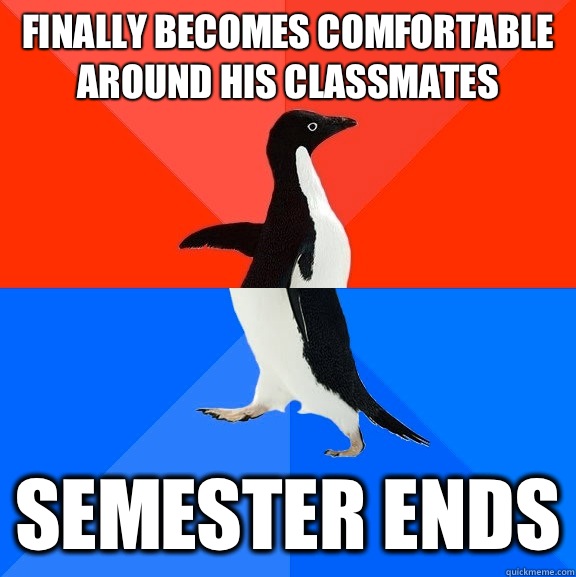 Finally becomes comfortable around his classmates Semester ends  Socially Awesome Awkward Penguin