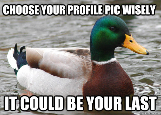 Choose your profile pic wisely It could be your last  Actual Advice Mallard