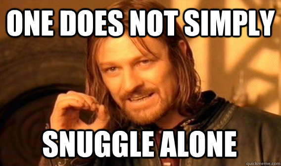 ONE DOES NOT SIMPLY SNUGGLE ALONE  One Does Not Simply