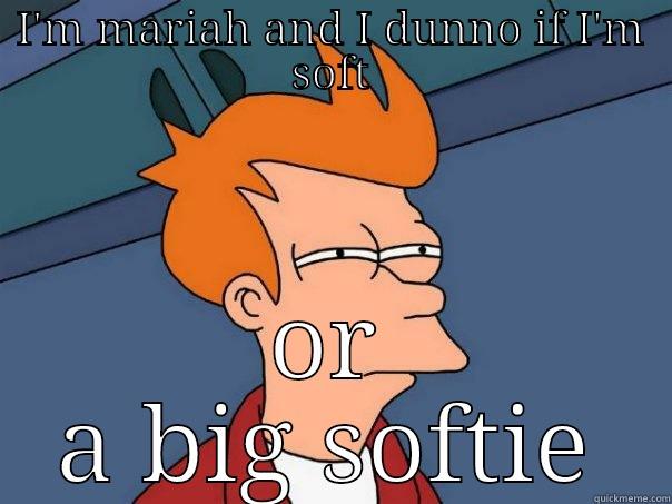 mariah don't - I'M MARIAH AND I DUNNO IF I'M SOFT OR A BIG SOFTIE Futurama Fry