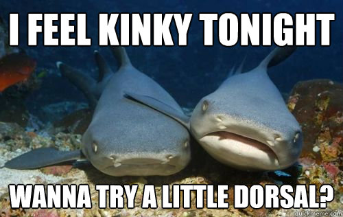i feel kinky tonight wanna try a little dorsal?  Compassionate Shark Friend