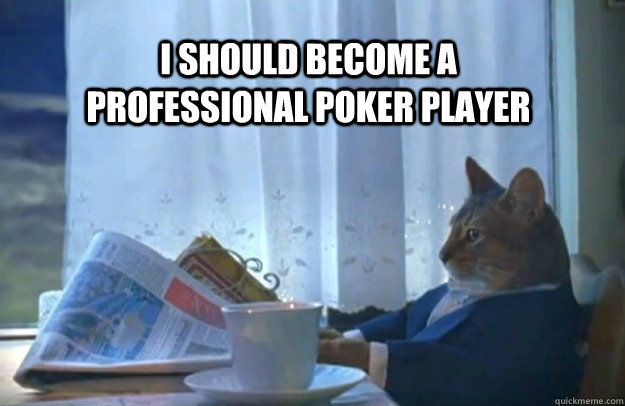 i should become a professional poker player  Sophisticated Cat