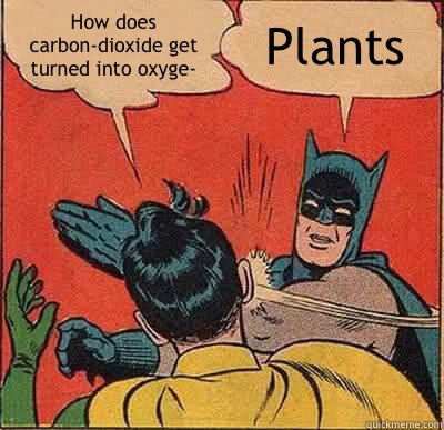 How does carbon-dioxide get turned into oxyge- Plants  Batman Slapping Robin
