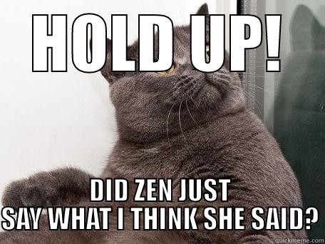 surprised cat - HOLD UP! DID ZEN JUST SAY WHAT I THINK SHE SAID? conspiracy cat