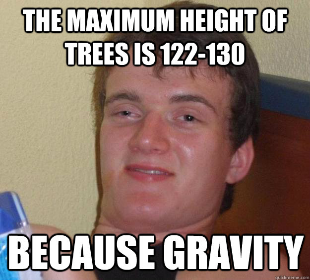 The maximum height of trees is 122-130 because gravity  10 Guy