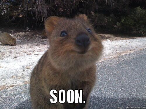                  SOON.                    Misc