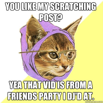 you like my scratching post? yea that vid is from a friends party i dj'd at.  Hipster Kitty