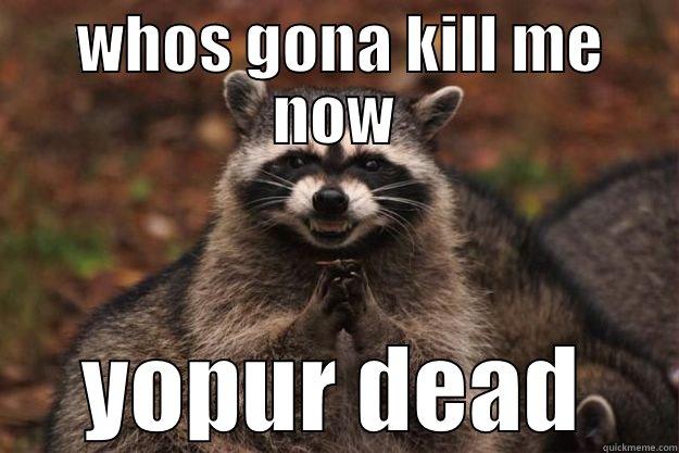  WHOS GONA KILL ME NOW YOPUR DEAD Evil Plotting Raccoon