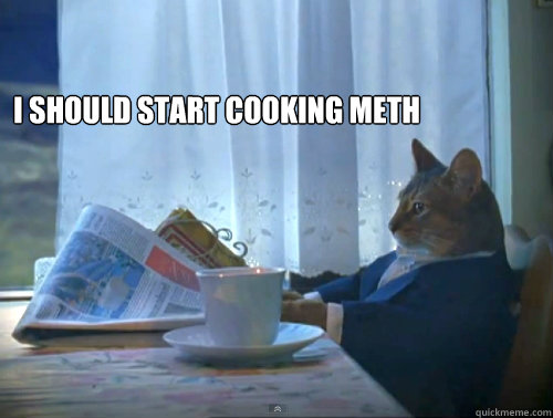 I should start cooking meth   The One Percent Cat
