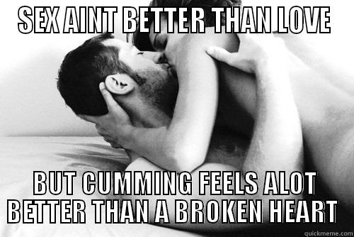 SEX AINT BETTER THAN LOVE BUT CUMMING FEELS ALOT BETTER THAN A BROKEN HEART  Misc