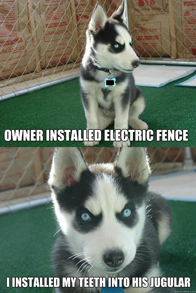 owner installed electric fence i installed my teeth into his jugular  Insanity puppy