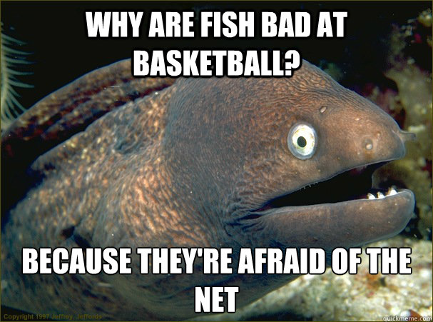 Why are fish bad at basketball?  Because they're afraid of the net - Why are fish bad at basketball?  Because they're afraid of the net  Bad Joke Eel