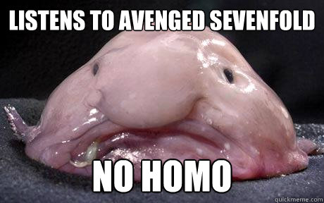 listens to avenged sevenfold no homo - listens to avenged sevenfold no homo  Douchebag Blobfish