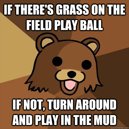 If there's grass on the field play ball If not, turn around and play in the mud  Pedobear