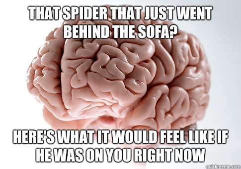 That spider that just went behind the sofa? Here's what it would feel like if he was on you right now   Scumbag Brain