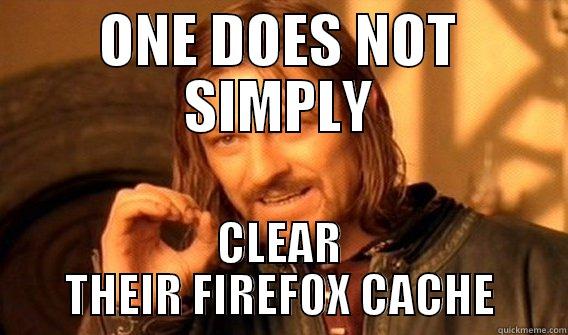 ONE DOES NOT SIMPLY CLEAR THEIR FIREFOX CACHE One Does Not Simply