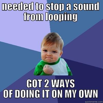 NEEDED TO STOP A SOUND FROM LOOPING GOT 2 WAYS OF DOING IT ON MY OWN Success Kid