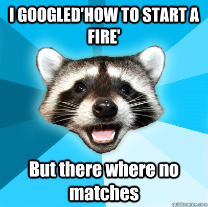 I GOOGLED'HOW TO START A FIRE' But there where no matches  Lame Pun Coon