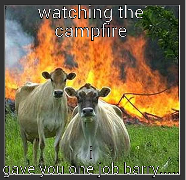 one job - WATCHING THE CAMPFIRE I GAVE YOU ONE JOB BARRY..... Evil cows