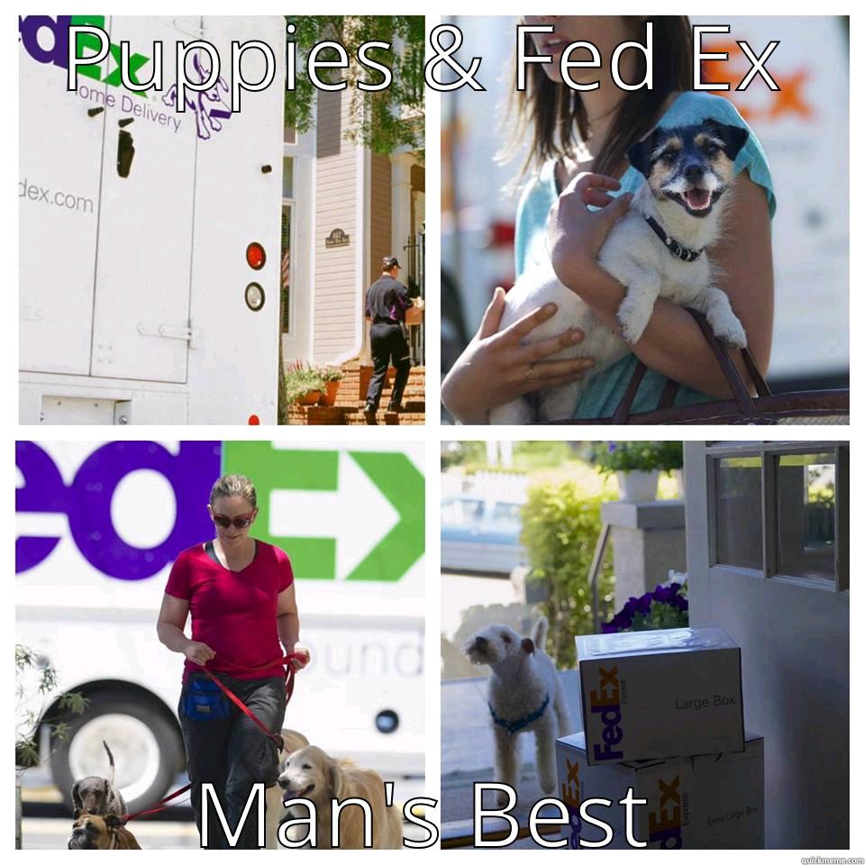 PUPPIES & FED EX MAN'S BFF Misc