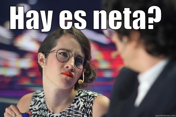 HAY ES NETA?  Misc