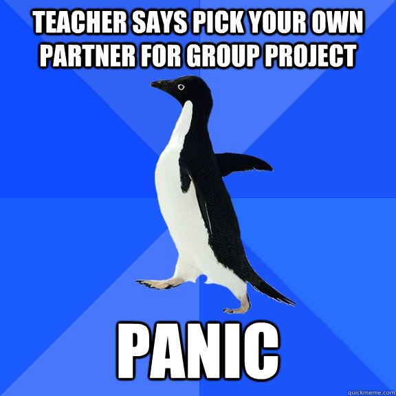 Teacher says pick your own partner for group project Panic  Socially Awkward Penguin