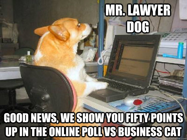 mr. lawyer dog Good news, we show you fifty points up in the online poll vs business cat - mr. lawyer dog Good news, we show you fifty points up in the online poll vs business cat  Tech Support Dog