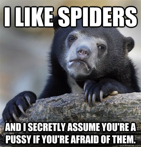 I like Spiders And I secretly assume you're a pussy if you're afraid of them.  Confession Bear
