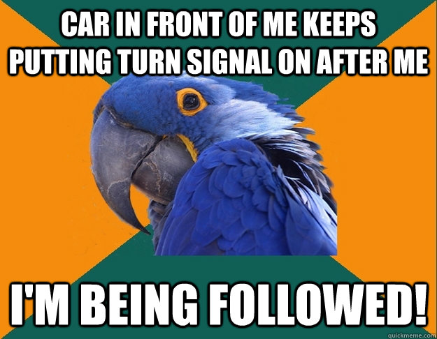 Car in front of me keeps putting turn signal on after me i'm being followed!  Paranoid parrot flat tire