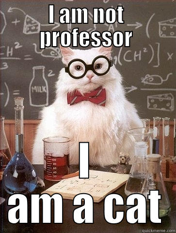 I AM NOT PROFESSOR I AM A CAT Chemistry Cat