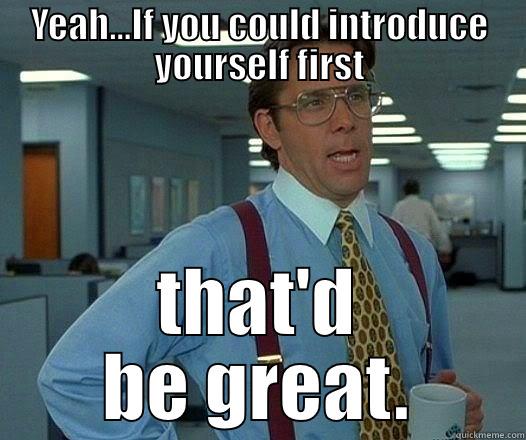 Yeah...If you could introduce yourself first - YEAH...IF YOU COULD INTRODUCE YOURSELF FIRST THAT'D BE GREAT. Office Space Lumbergh