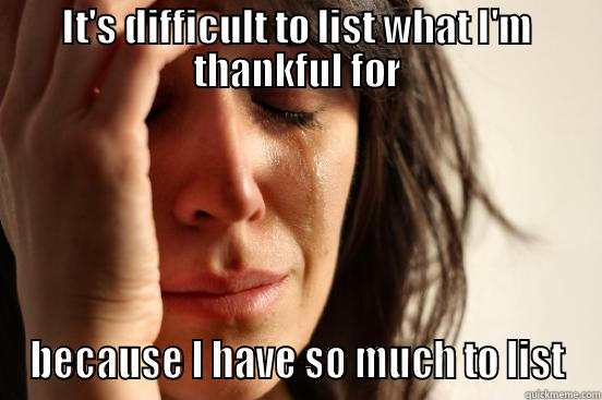 IT'S DIFFICULT TO LIST WHAT I'M THANKFUL FOR BECAUSE I HAVE SO MUCH TO LIST First World Problems