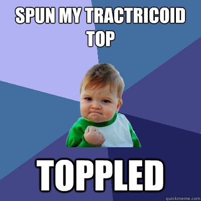 Spun my tractricoid top Toppled   Success Kid