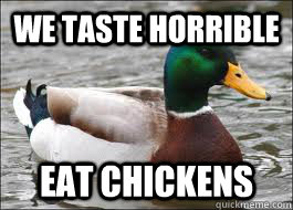 we taste horrible eat chickens  Good Advice Duck