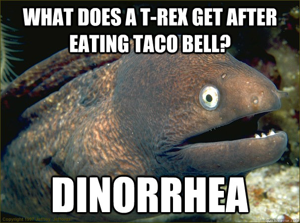 What does a T-Rex Get after eating Taco Bell? Dinorrhea - What does a T-Rex Get after eating Taco Bell? Dinorrhea  Bad Joke Eel