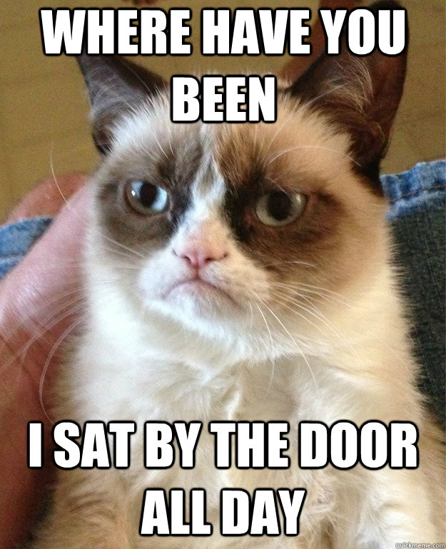 where have you been i sat by the door all day  Grumpy Cat