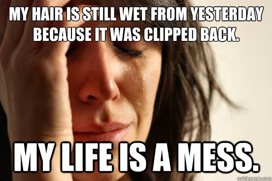 My hair is still wet from yesterday because it was clipped back. My life is a mess.  First World Problems