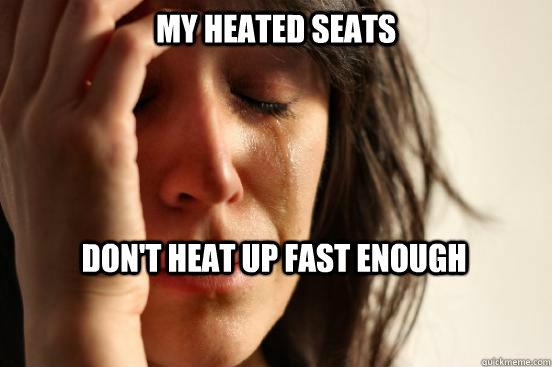 My heated seats don't heat up fast enough  First World Problems