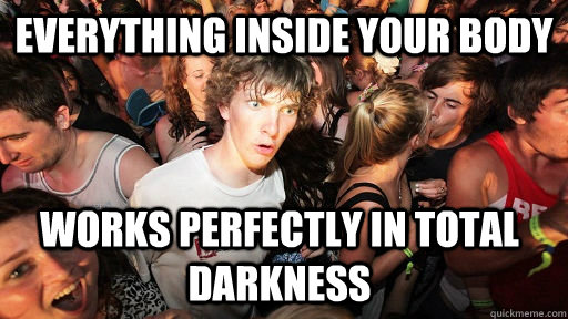 Everything inside your body Works perfectly in total darkness  Sudden Clarity Clarence