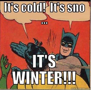 IT'S COLD!  IT'S SNO ... IT'S WINTER!!! Slappin Batman
