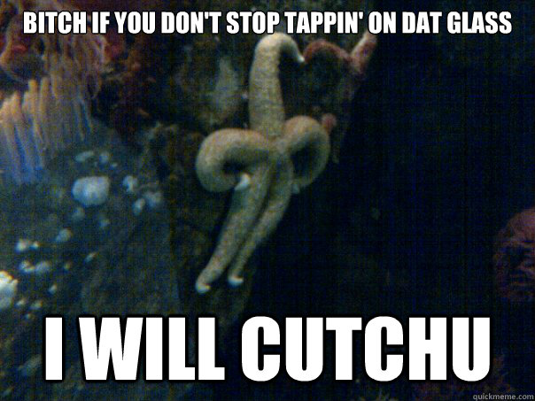 Bitch if you don't stop tappin' on dat glass I WILL CUTCHU  Sassy Starfish