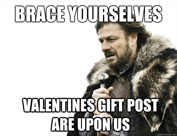 Brace yourselves Valentines gift post are upon us  Brace Yourselves - Borimir