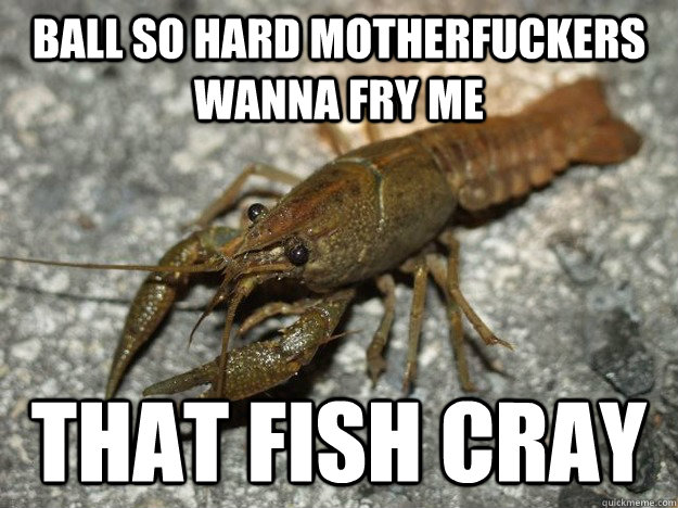 Ball so hard motherfuckers wanna fry me that fish cray - Ball so hard motherfuckers wanna fry me that fish cray  that fish cray