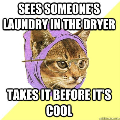 Sees someone's laundry in the dryer Takes it before it's cool - Sees someone's laundry in the dryer Takes it before it's cool  Hipster Kitty