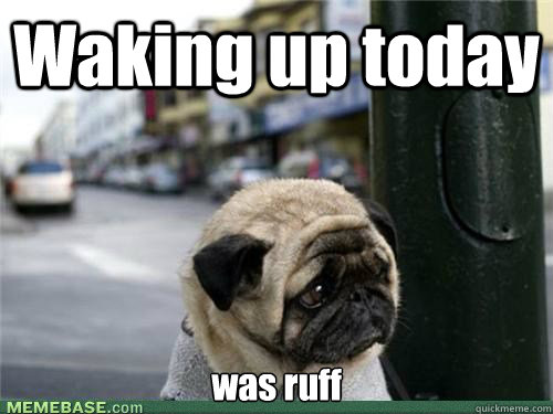 Waking up today was ruff  Sad pug is sad